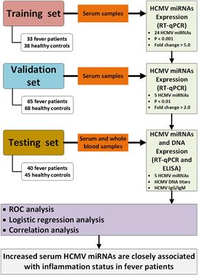 Altered serum human cytomegalovirus microRNA levels are common and closely associated with the inflammatory status in patients with fever